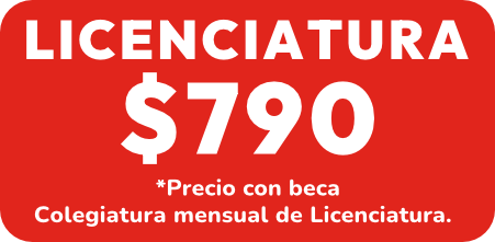 Licenciatura Kaizen