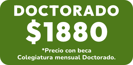 Doctorado Kaizen